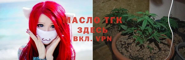 амф Надым