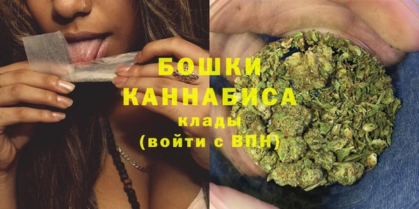 apvp Михайлов
