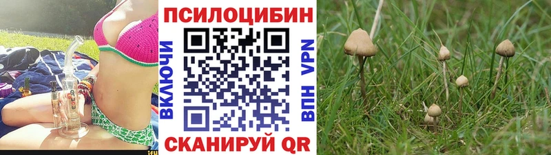 Псилоцибиновые грибы Magic Shrooms  Лабинск 